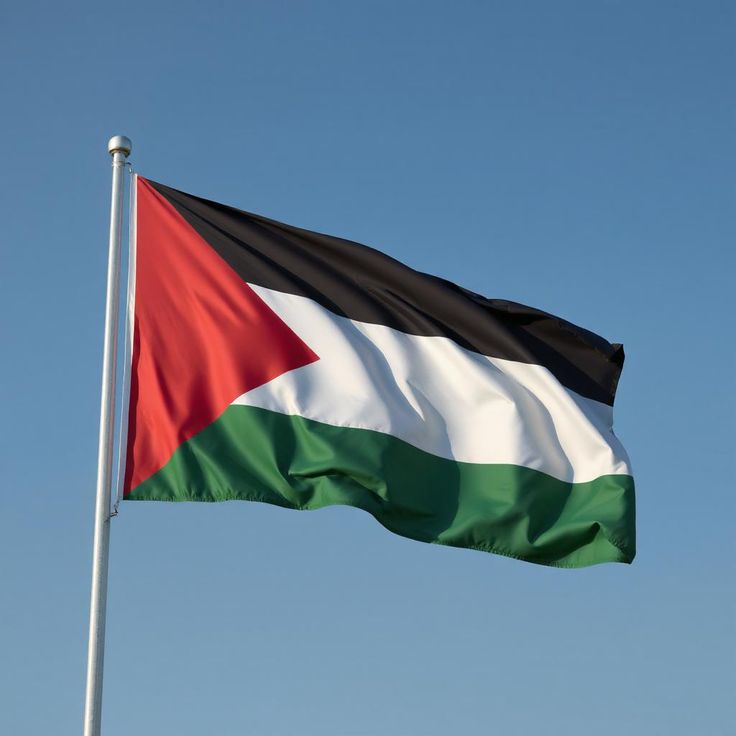 Antara Resolusi dan Realitas: Bisakah Dunia Menepati Janji untuk Palestina?