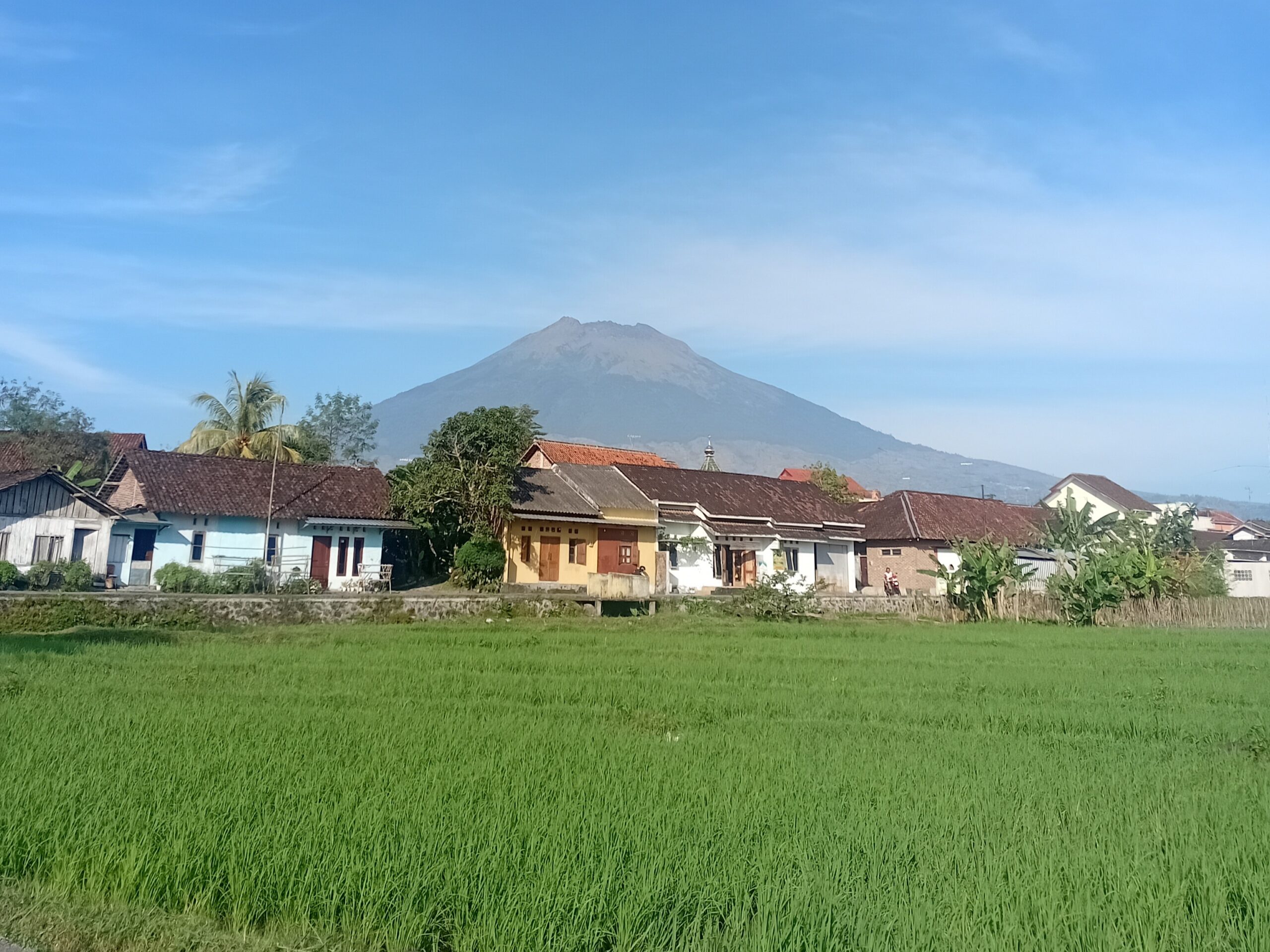 Kalau Wakaf Bisa jadi Sawah, Kenapa Harus Lapar?